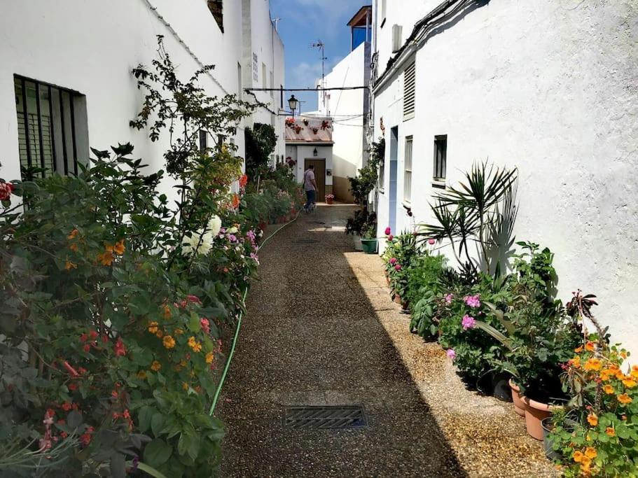 Corazon De Conil Apartment Conil De La Frontera Luaran gambar