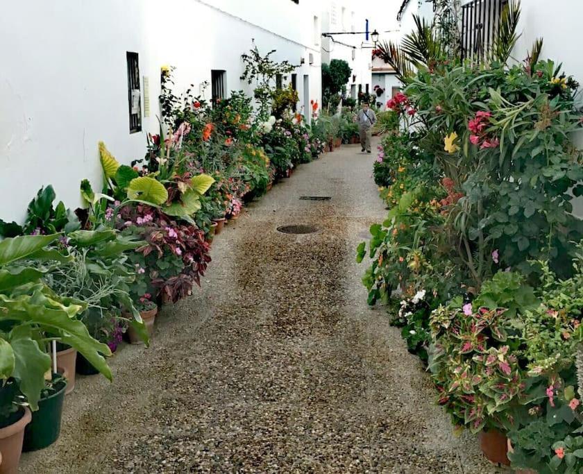 Corazon De Conil Apartment Conil De La Frontera Luaran gambar