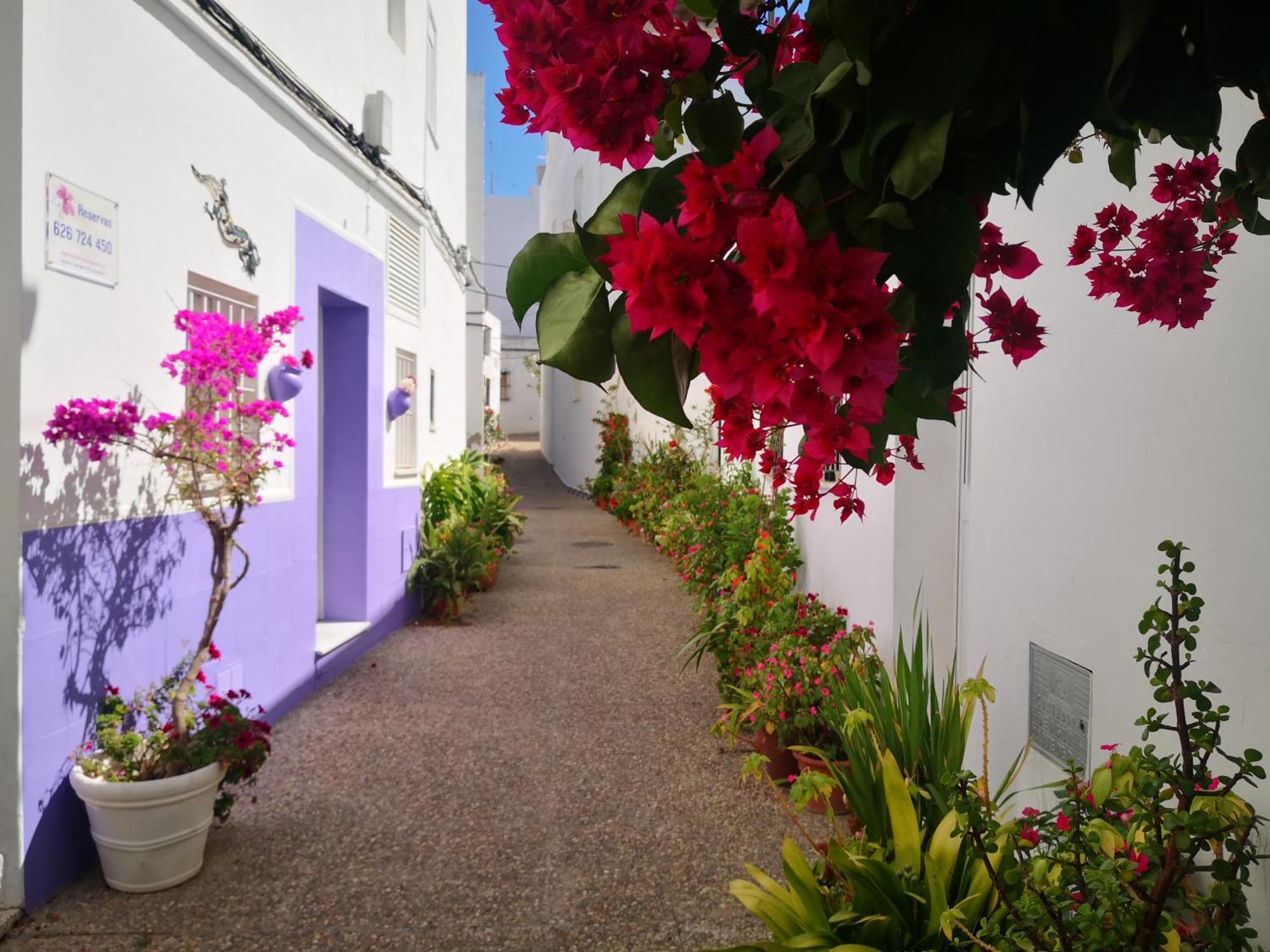 Corazon De Conil Apartment Conil De La Frontera Luaran gambar